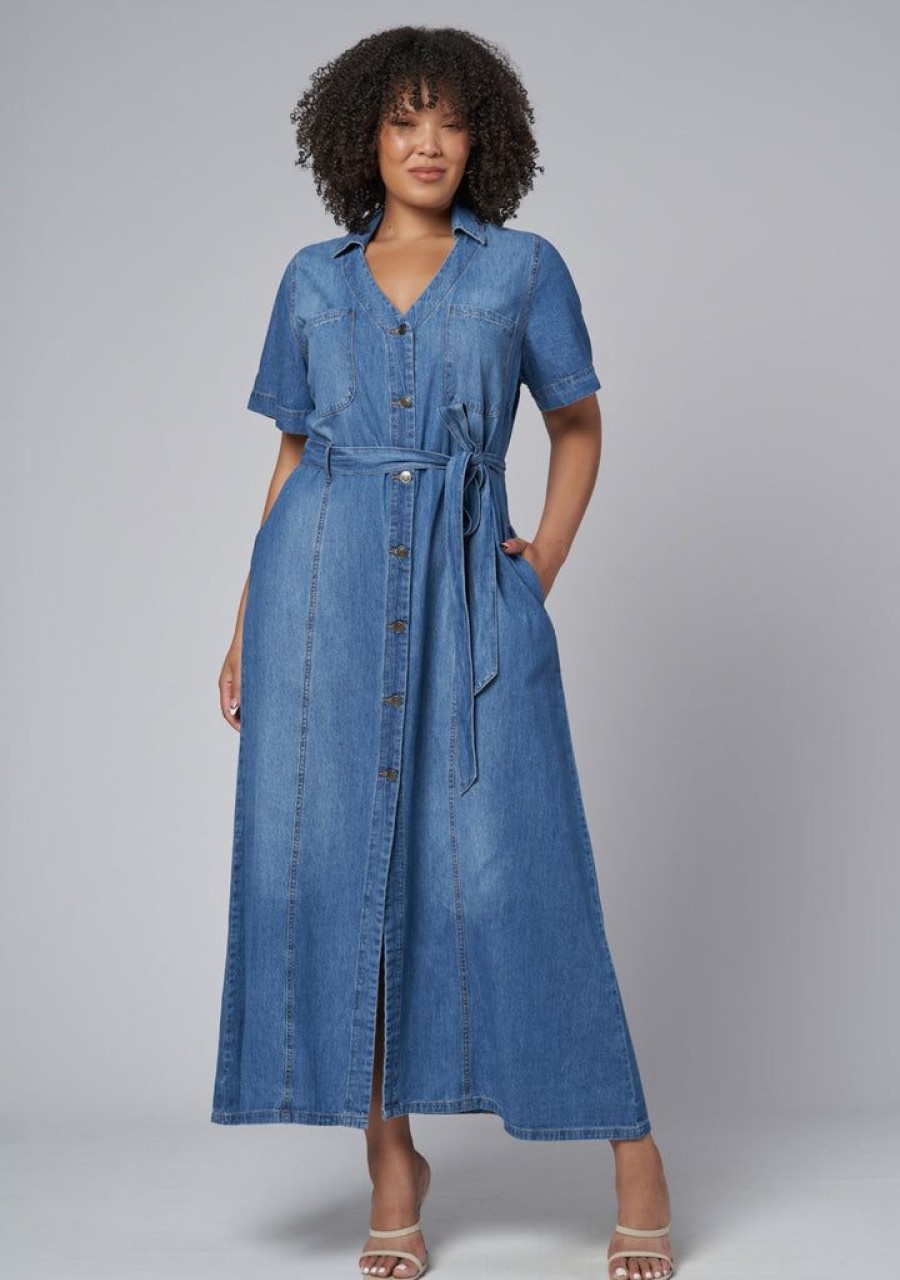 INDIGO TONIC Denim | Naomi Chambray Maxi Dress