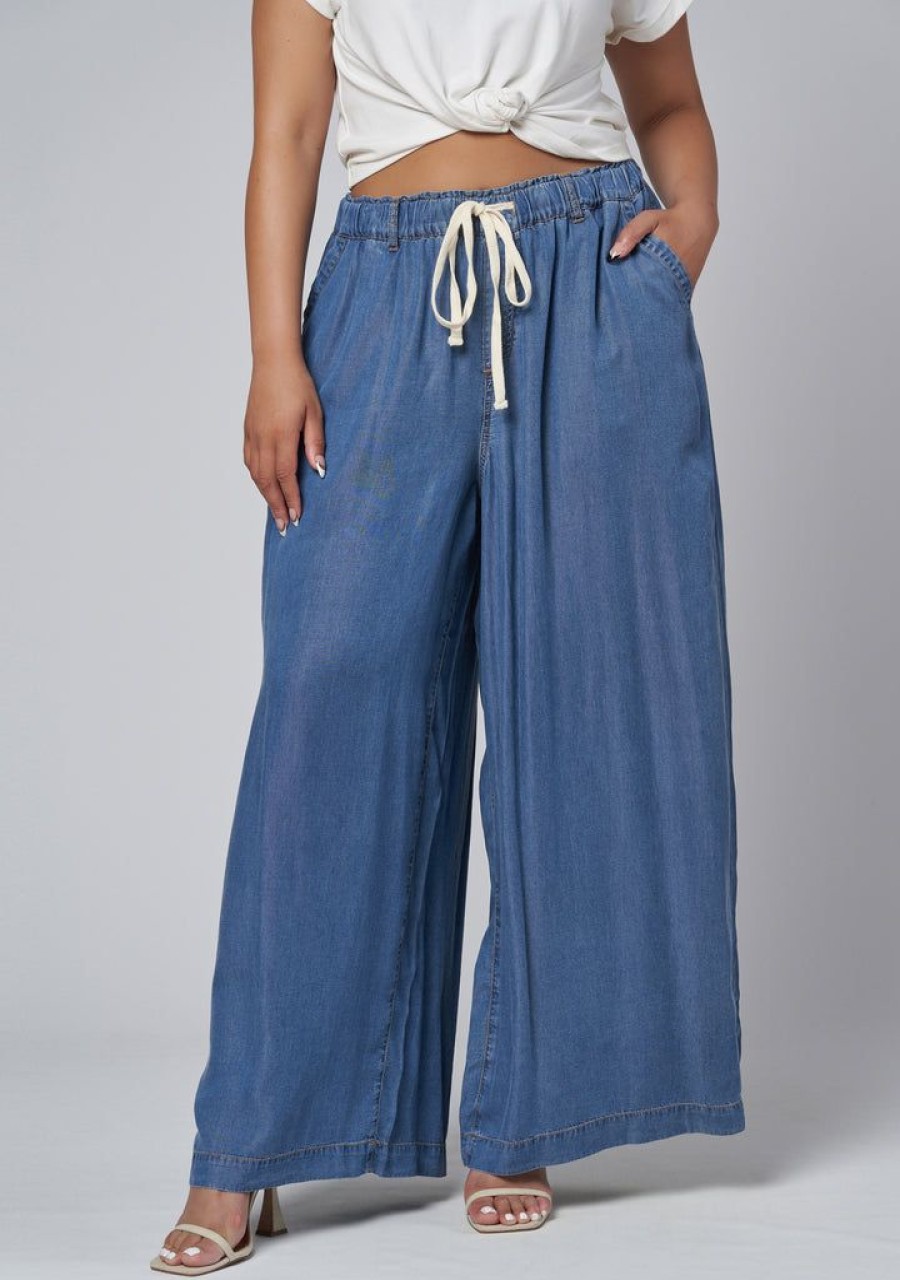 INDIGO TONIC Denim | Blake Chambray Wide Leg Pants