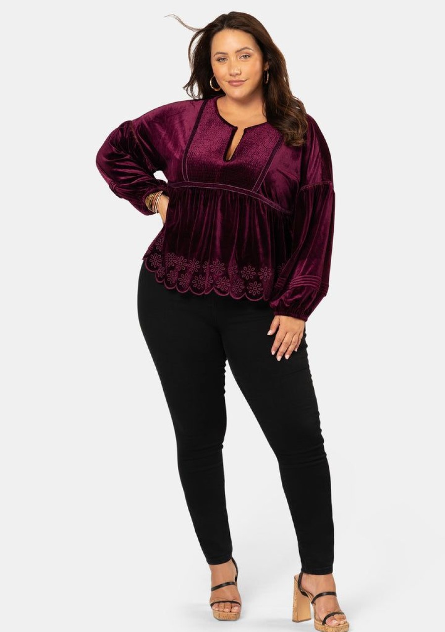 THE POETIC GYPSY Shirts & Blouses | Whole World Velvet Top